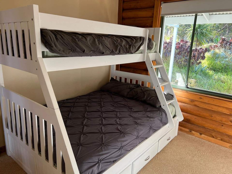 Bunk bed by a garden window